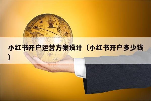 小红书开户运营方案设计（小红书开户多少钱）