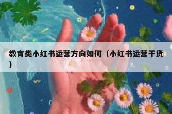 教育类小红书运营方向如何（小红书运营干货）