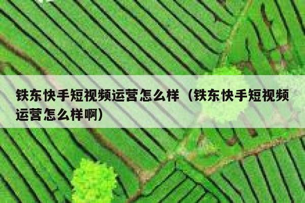 铁东快手短视频运营怎么样（铁东快手短视频运营怎么样啊）