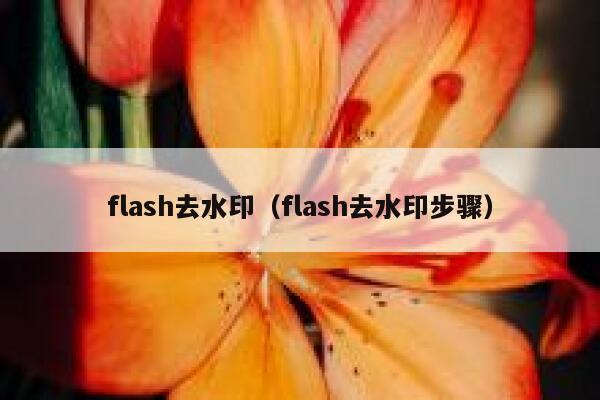flash去水印（flash去水印步骤）
