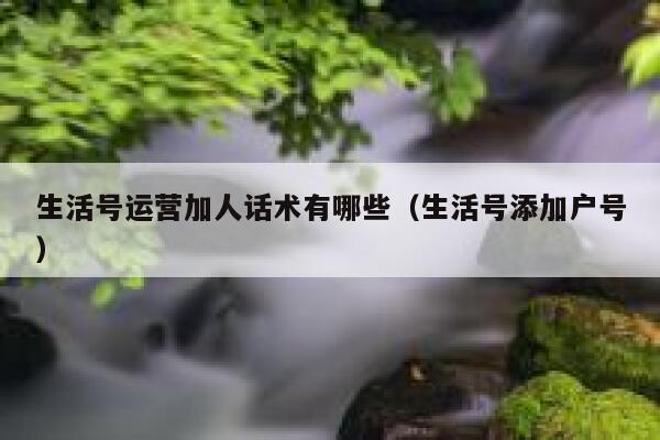 生活号运营加人话术有哪些（生活号添加户号）