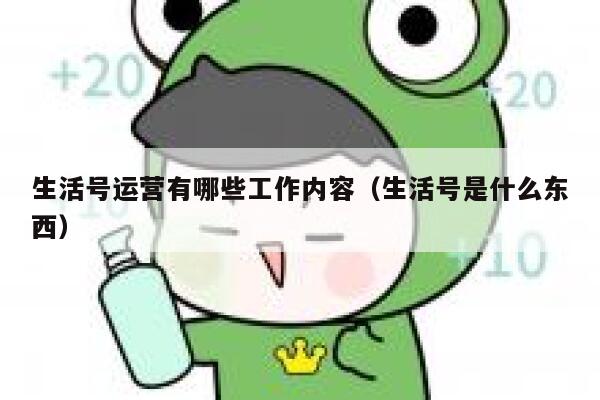 生活号运营有哪些工作内容（生活号是什么东西）