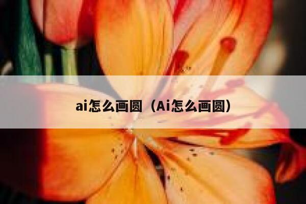ai怎么画圆（Ai怎么画圆）