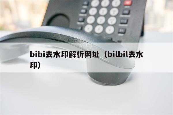 bibi去水印解析网址（bilbil去水印）