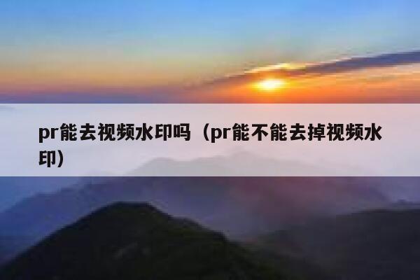 pr能去视频水印吗（pr能不能去掉视频水印）
