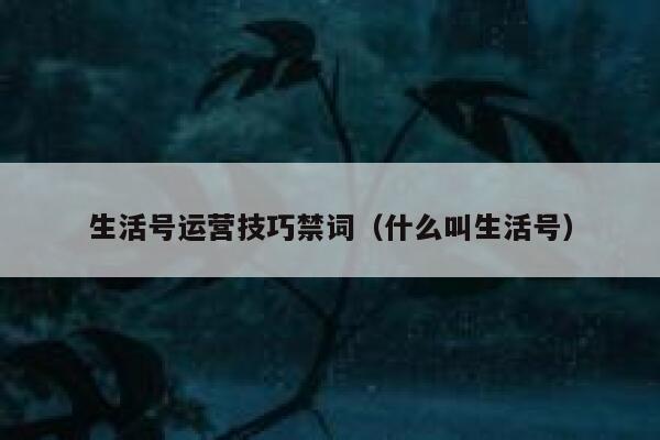 详细阅读:生活号运营技巧禁词(什么叫生活号) 生活号运营技巧禁词(什么叫生活号)
