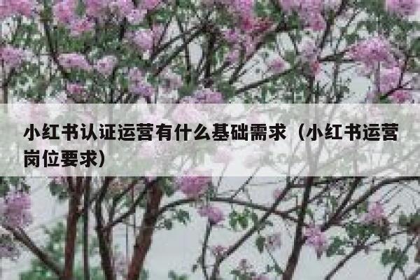 小红书认证运营有什么基础需求（小红书运营岗位要求）