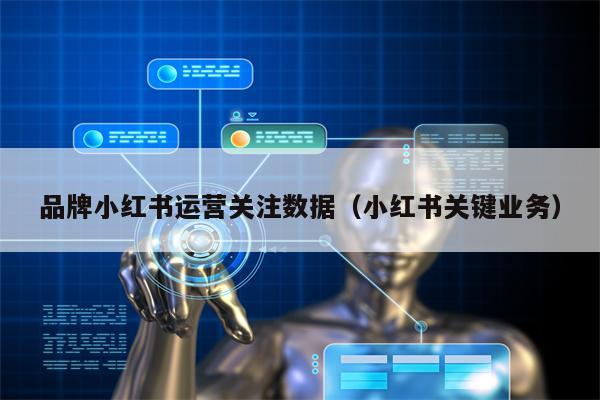 品牌小红书运营关注数据（小红书关键业务）