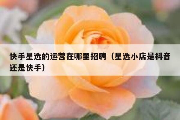 快手星选的运营在哪里招聘（星选小店是抖音还是快手）