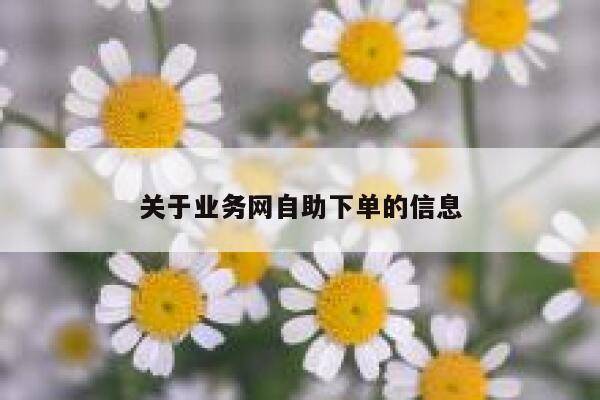 关于业务网自助下单的信息