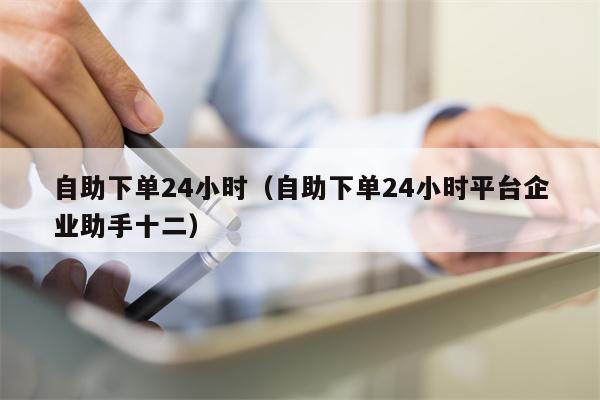 自助下单24小时（自助下单24小时平台企业助手十二）