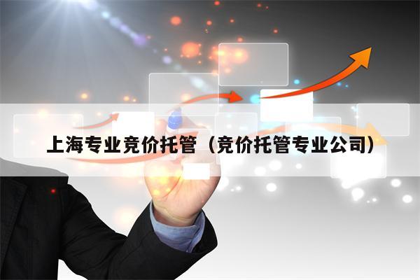 上海专业竞价托管（竞价托管专业公司）