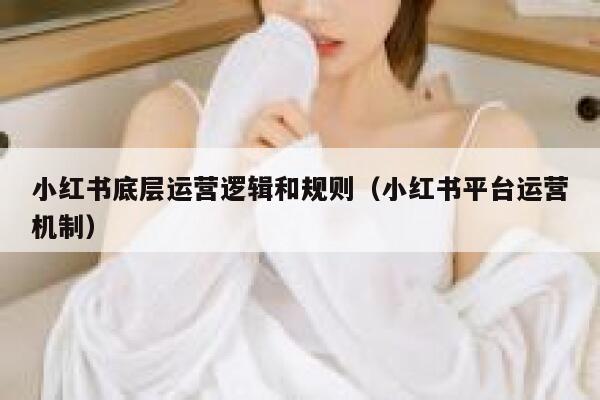 小红书底层运营逻辑和规则（小红书平台运营机制）