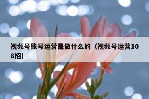 视频号账号运营是做什么的（视频号运营108招）