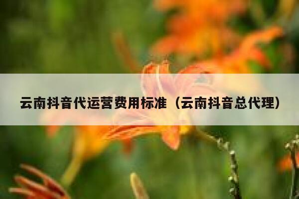 云南抖音代运营费用标准（云南抖音总代理）