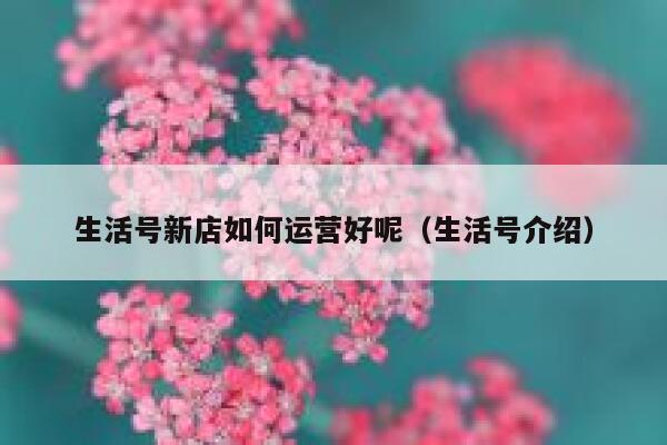 详细阅读:生活号新店如何运营好呢(生活号介绍) 生活号新店如何运营好呢(生活号介绍)