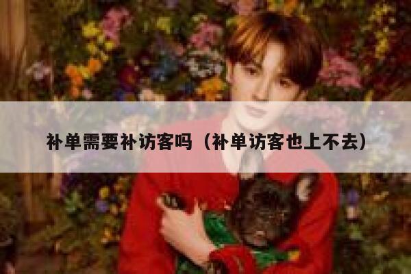 补单需要补访客吗（补单访客也上不去）