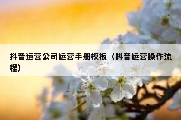 抖音运营公司运营手册模板（抖音运营操作流程）