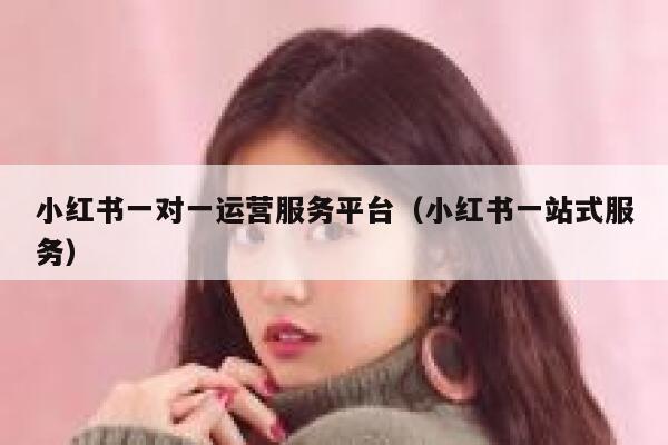 小红书一对一运营服务平台（小红书一站式服务）