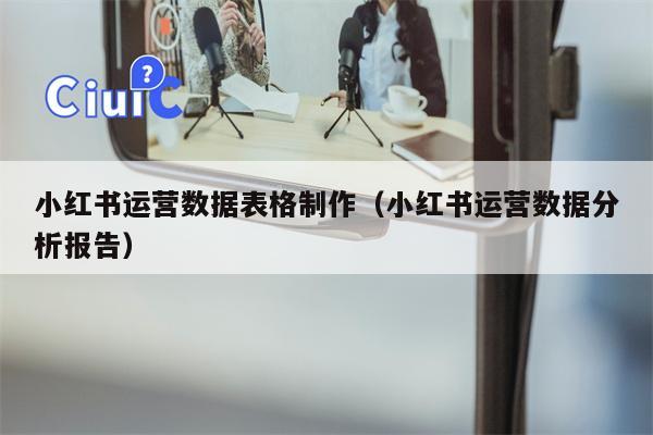 小红书运营数据表格制作(小红书运营数据分析报告)