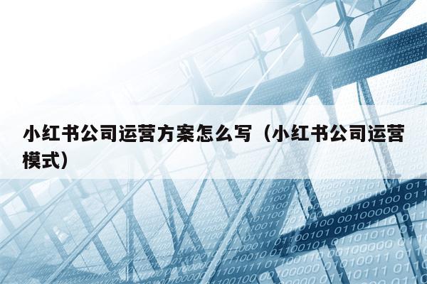 小红书公司运营方案怎么写（小红书公司运营模式）
