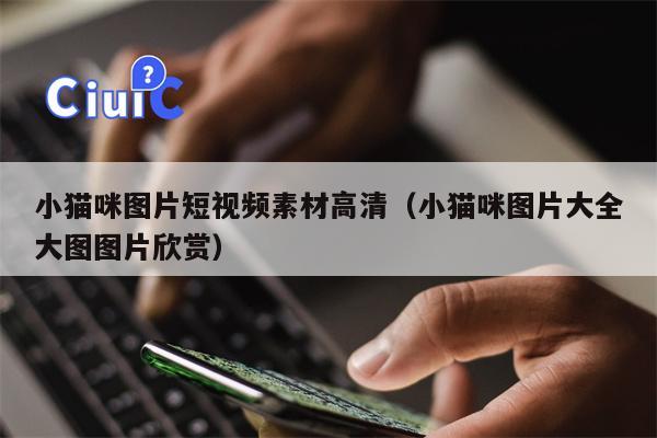 小猫咪图片短视频素材高清（小猫咪图片大全大图图片欣赏）