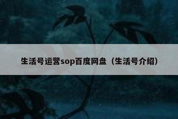 生活号运营sop百度网盘（生活号介绍）