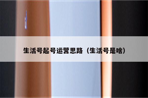 生活号起号运营思路（生活号是啥）