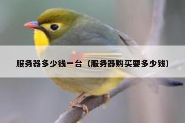 服务器多少钱一台（服务器购买要多少钱）