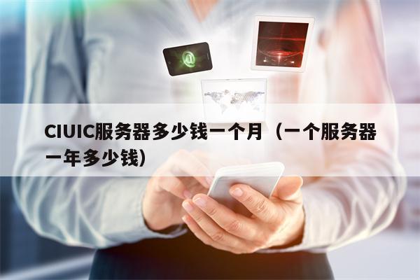 CIUIC服务器多少钱一个月（一个服务器一年多少钱）